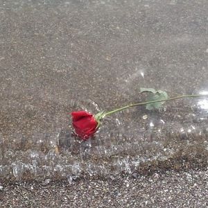 Meet your Posher, Joanna